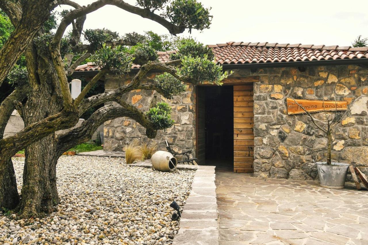 *****Pool House With Beautiful Seaview,Big Garden And Old Tavern***** Rijeka Exteriör bild