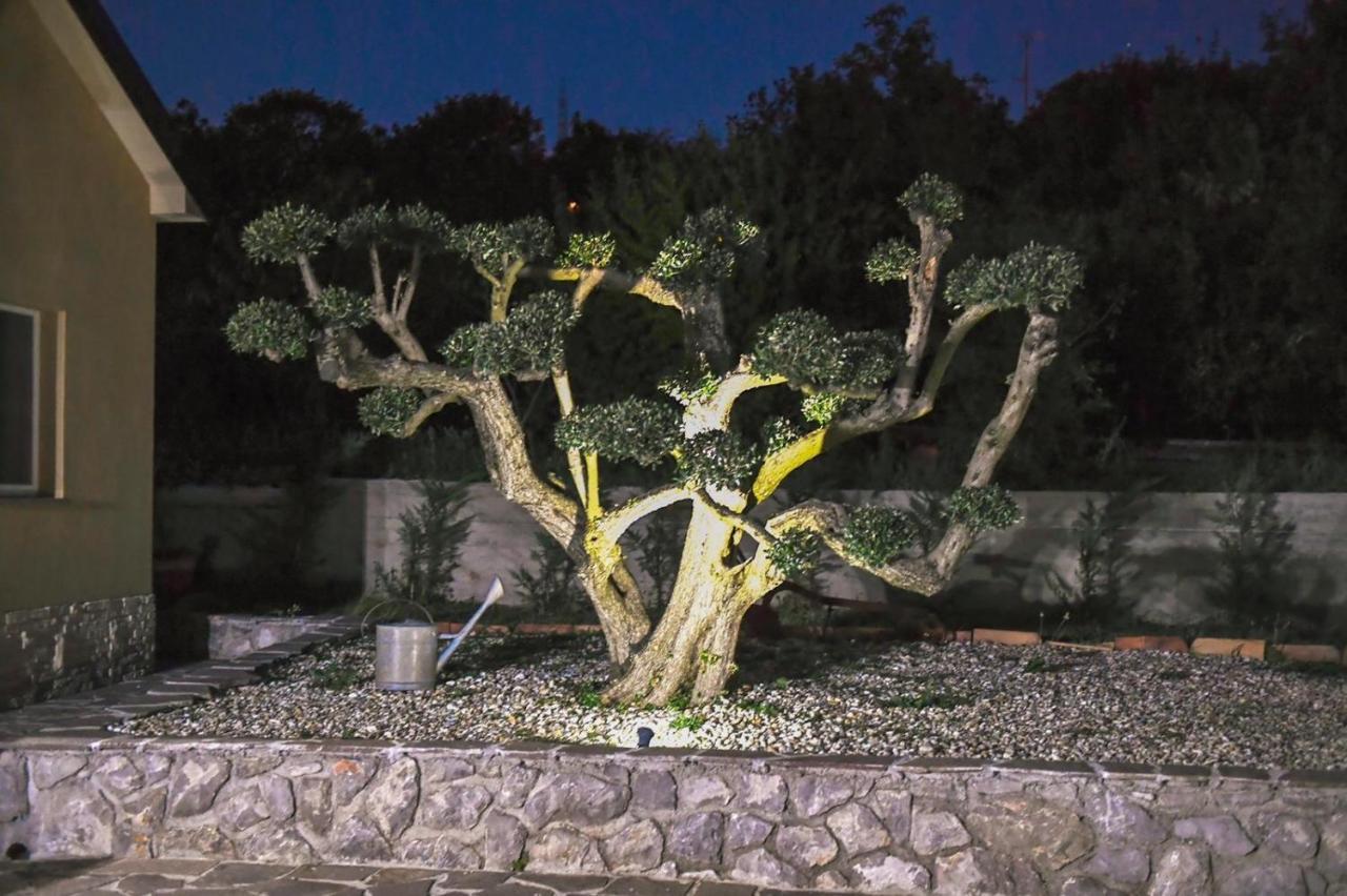 *****Pool House With Beautiful Seaview,Big Garden And Old Tavern***** Rijeka Exteriör bild