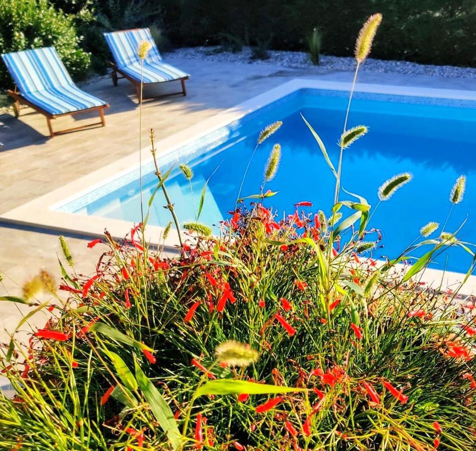*****Pool House With Beautiful Seaview,Big Garden And Old Tavern***** Rijeka Exteriör bild